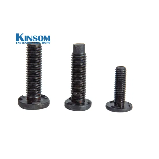 Stainless Steel 304 Screw/Flange Screw/Custom Pan Head Philips Cross Turning Hex Bolt /Weld Bolt/Flange Bolt/Forging Fastener